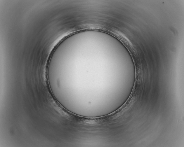 X0000114591182200911091250