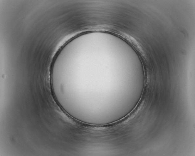 X0000114591184200911091250