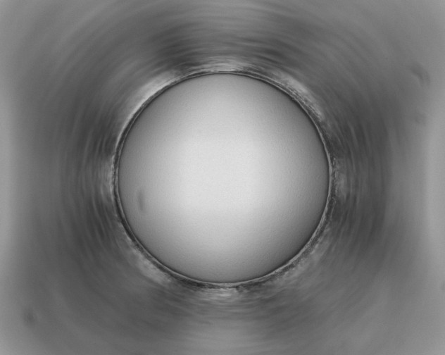 X0000114591186200911091250