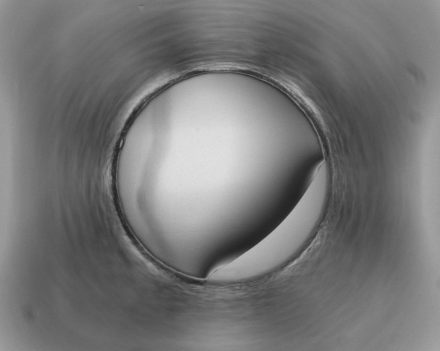 X0000114591189200911091250