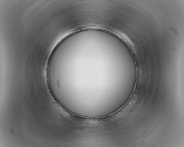 X0000114591190200911091250