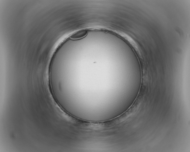 X0000114591191200911091250