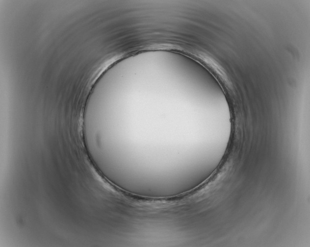 X0000114591193200911091250