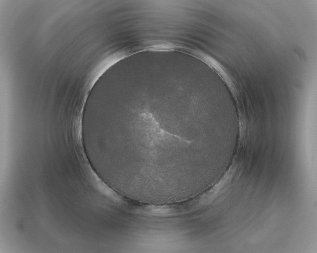 X0000114591194200911091250