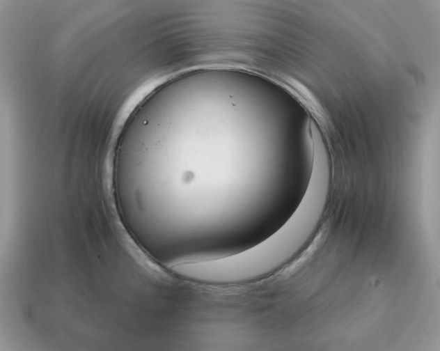 X0000114591196200911091250