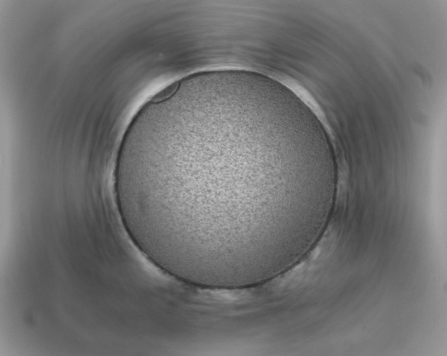 X0000114591197200911091250