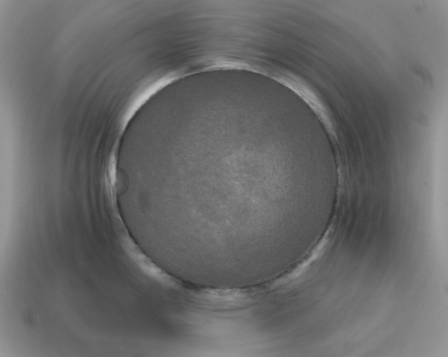 X0000114591198200911091250