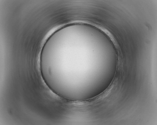 X0000114591199200911091250