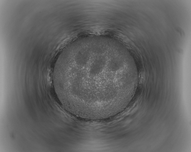 X0000114591202200911091249