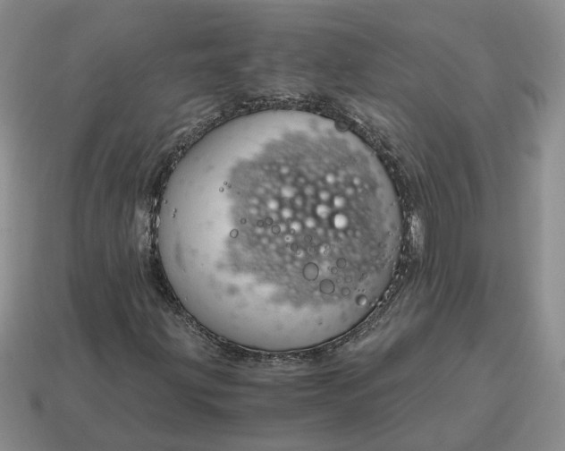 X0000114591203200911091250