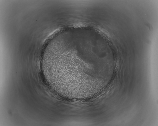 X0000114591205200911091250