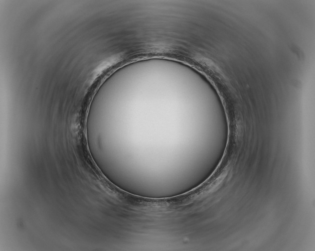 X0000114591210200911091250