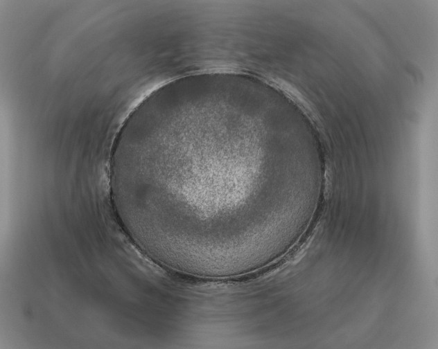 X0000114591212200911091250