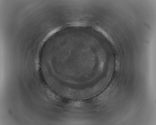 X0000114591213200911091250