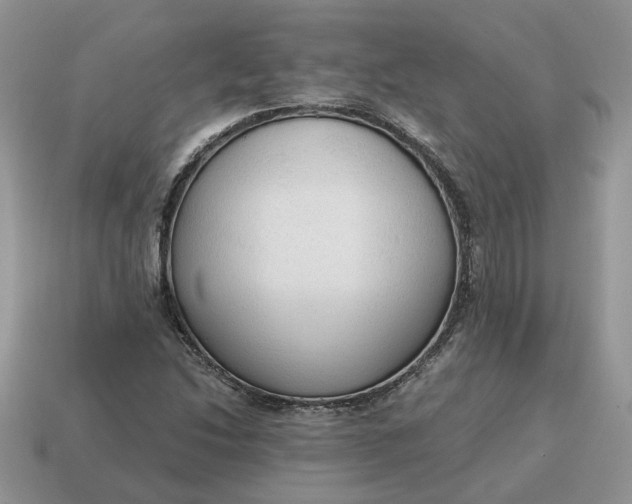 X0000114591214200911091250