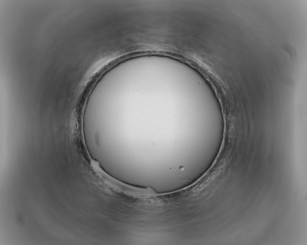 X0000114591215200911091250