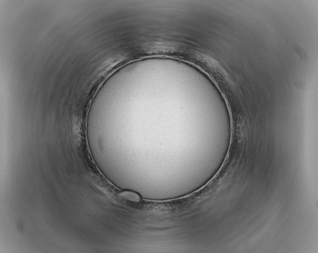 X0000114591217200911091250