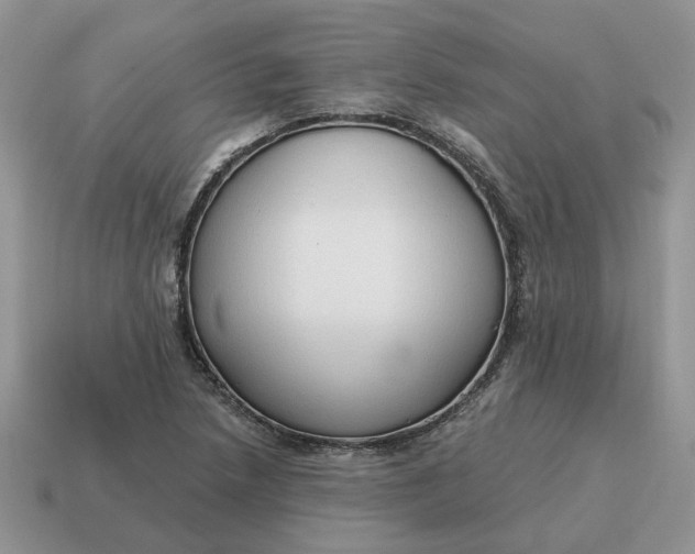 X0000114591218200911091250