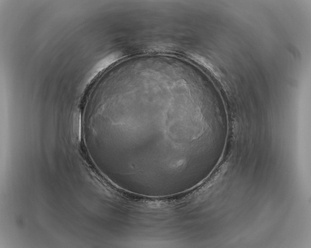 X0000114591219200911091250