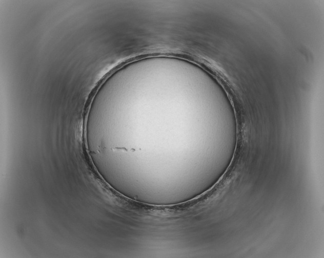 X0000114591220200911091250