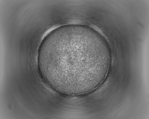 X0000114591222200911091250