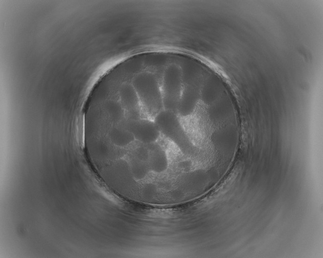 X0000114591223200911091250