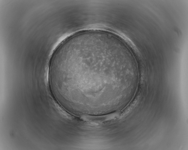 X0000114591224200911091250