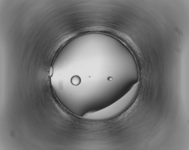 X0000114591225200911091250