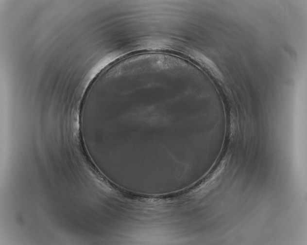 X0000114591226200911091250