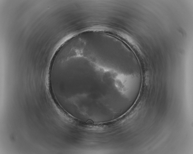 X0000114591229200911091250