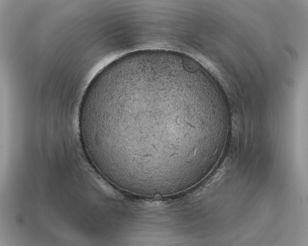 X0000114591230200911091250