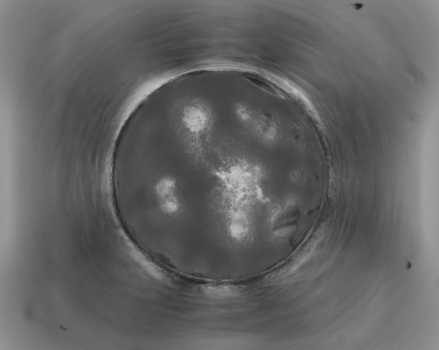 X0000114591231200911091250