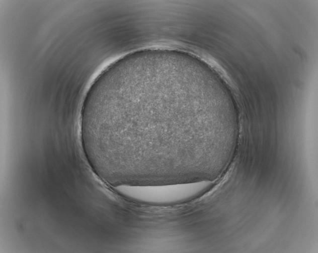 X0000114591232200911091250