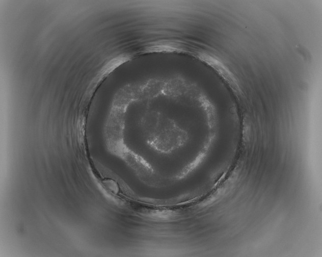 X0000114591233200911091250