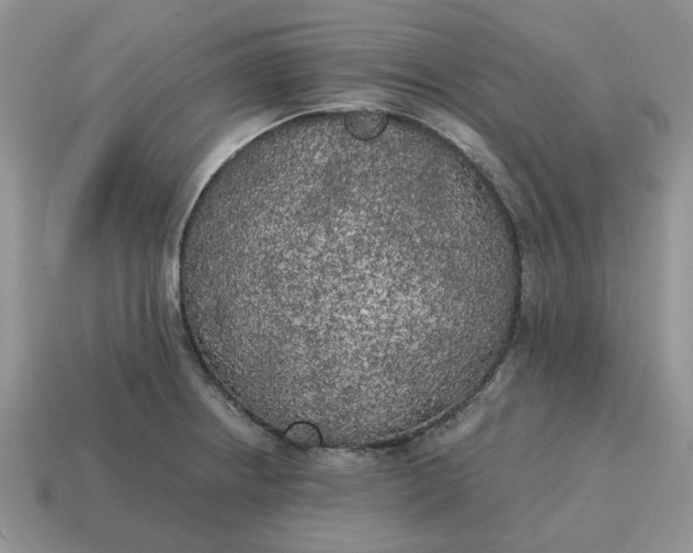 X0000114591234200911091250