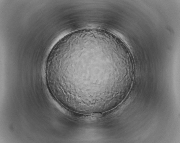 X0000114591235200911091250