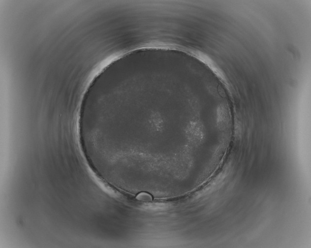 X0000114591237200911091250