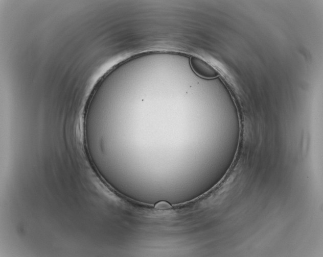 X0000114591238200911091250