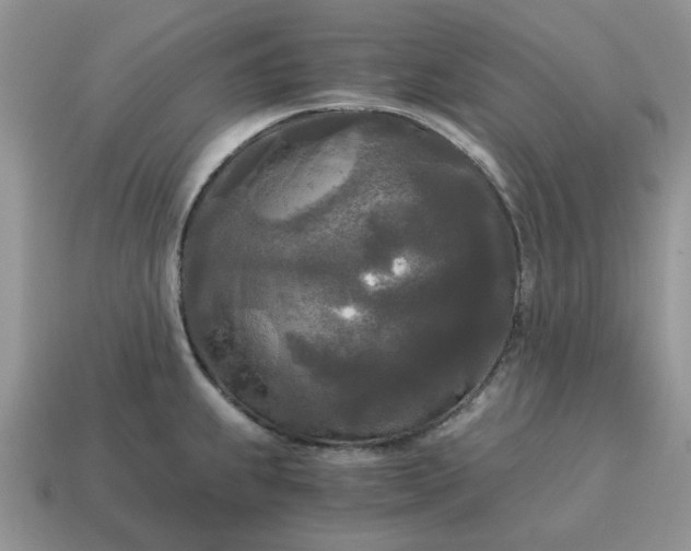 X0000114591239200911091250