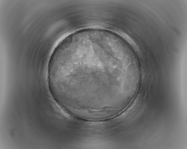 X0000114591240200911091250