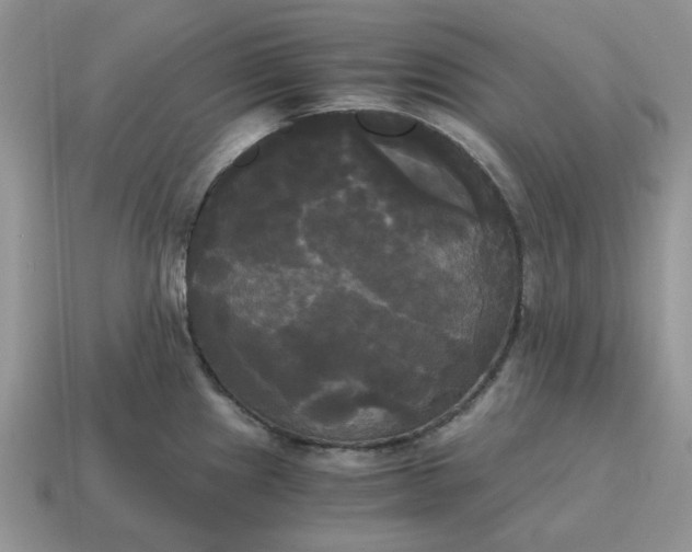 X0000114591241200911091250