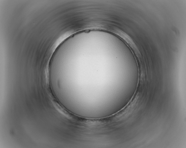 X0000114591242200911091250