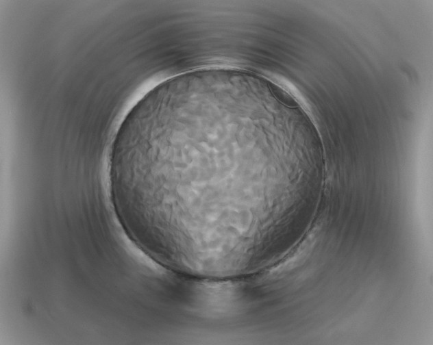 X0000114591243200911091250