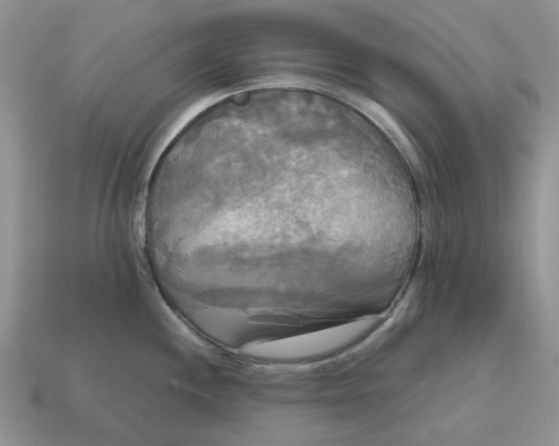 X0000114591244200911091250