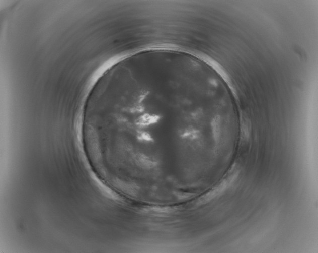 X0000114591245200911091250