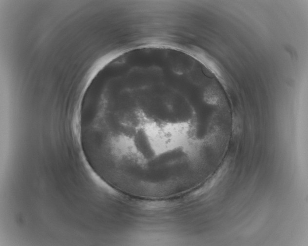 X0000114591247200911091250