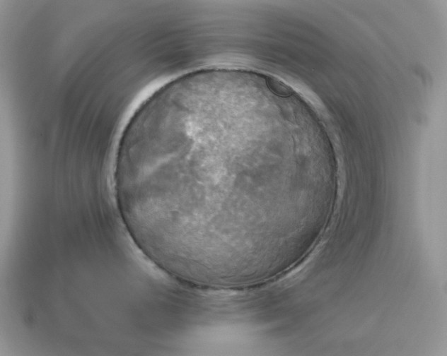 X0000114591248200911091250