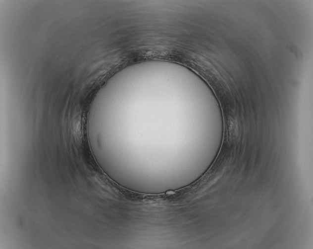 X0000114591250200911091249