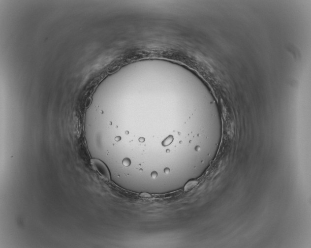 X0000114591253200911091249