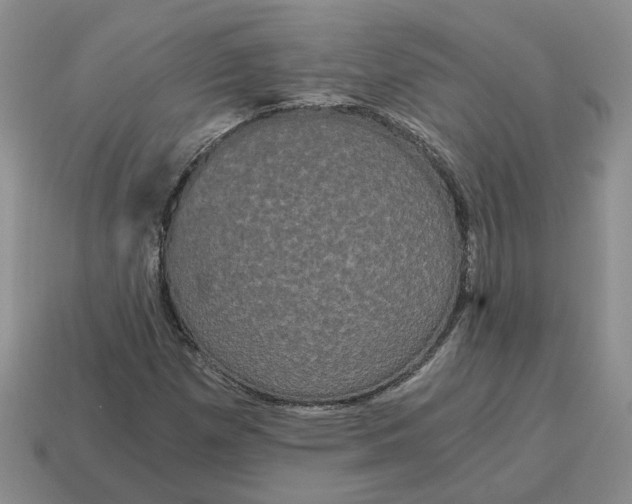 X0000114591257200911091249